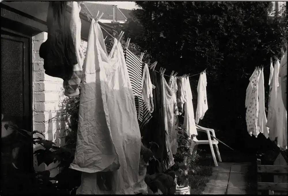 Crisp white shirts hanging neatly after being washed and ironed